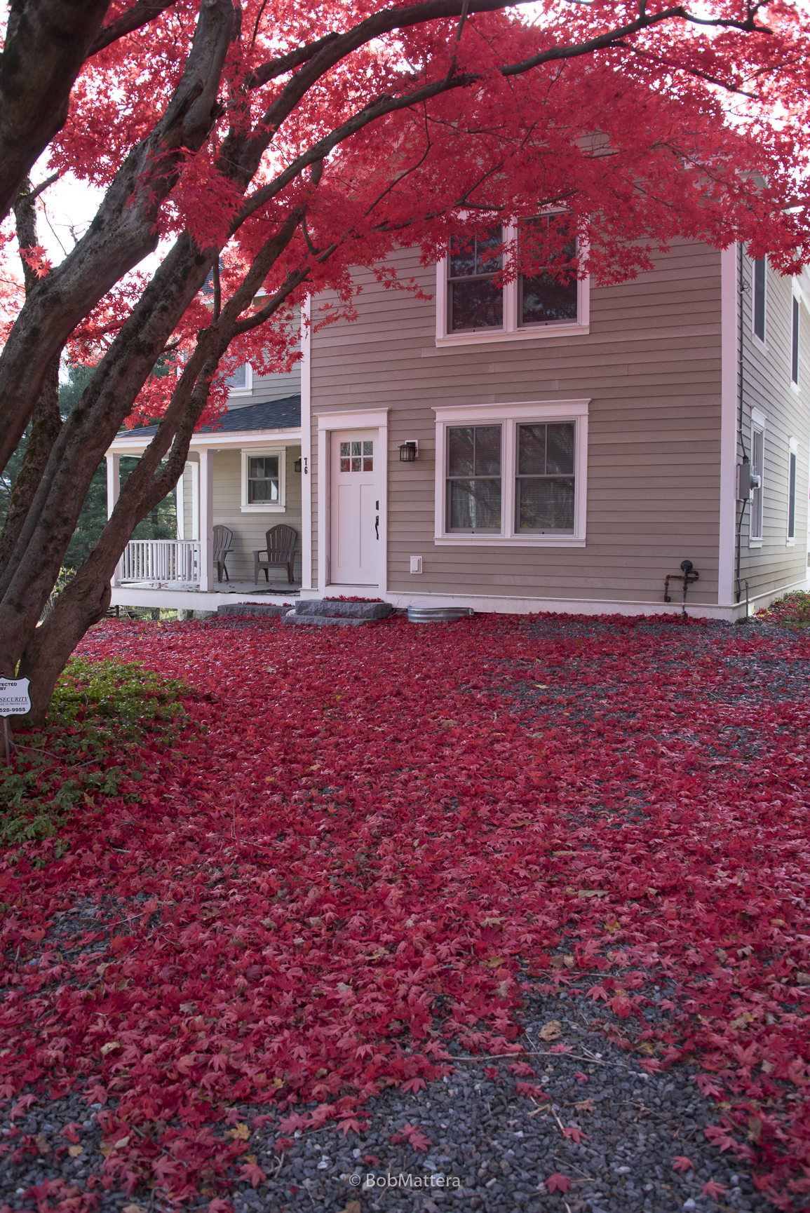 Restored 1881 Farm House