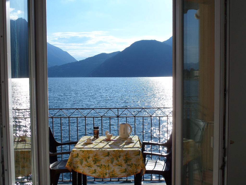 Nido sul Lago Mariangela Apartment on the lake (ground floor)