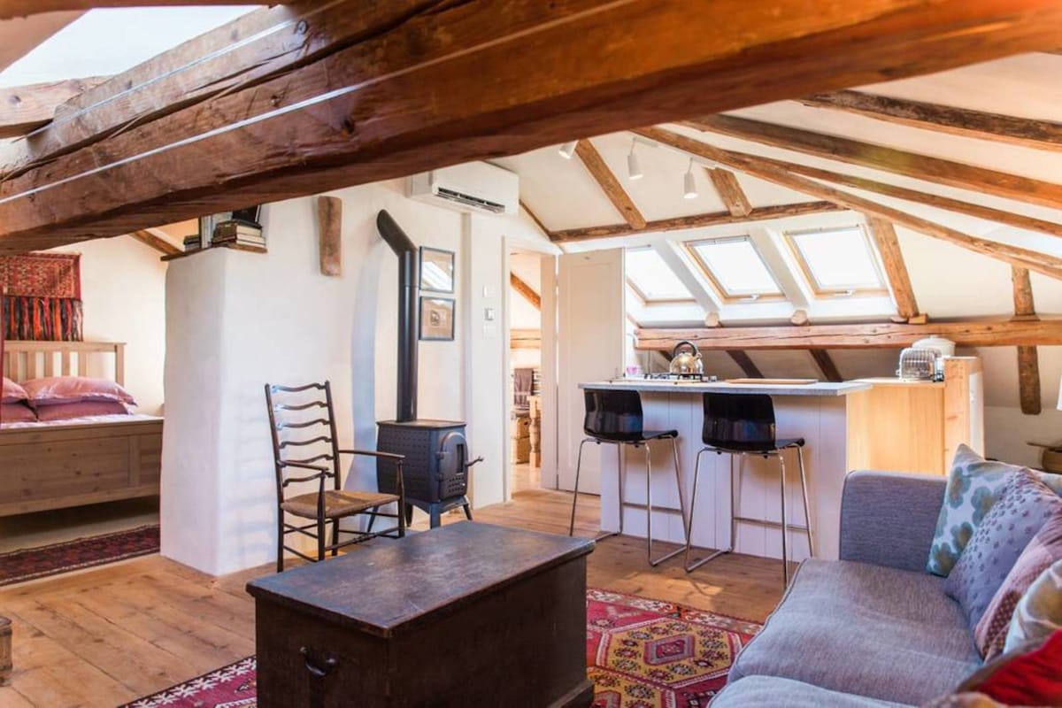 Tolmin Loft apartment