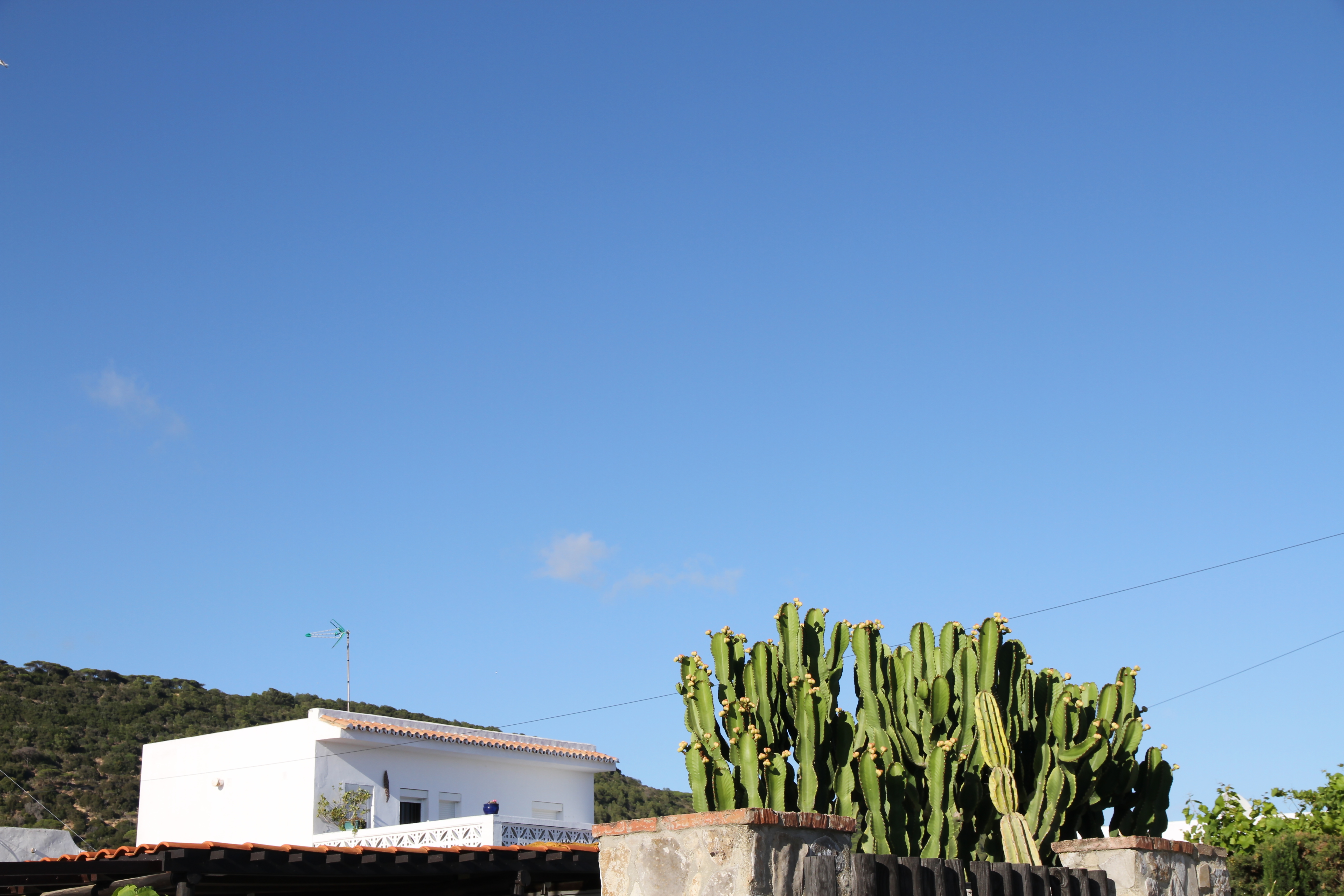 Ocean View -