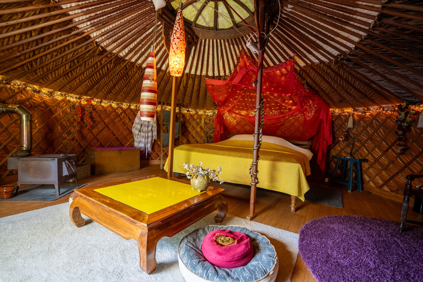 Reijgershof - Yurt Experience with garden view