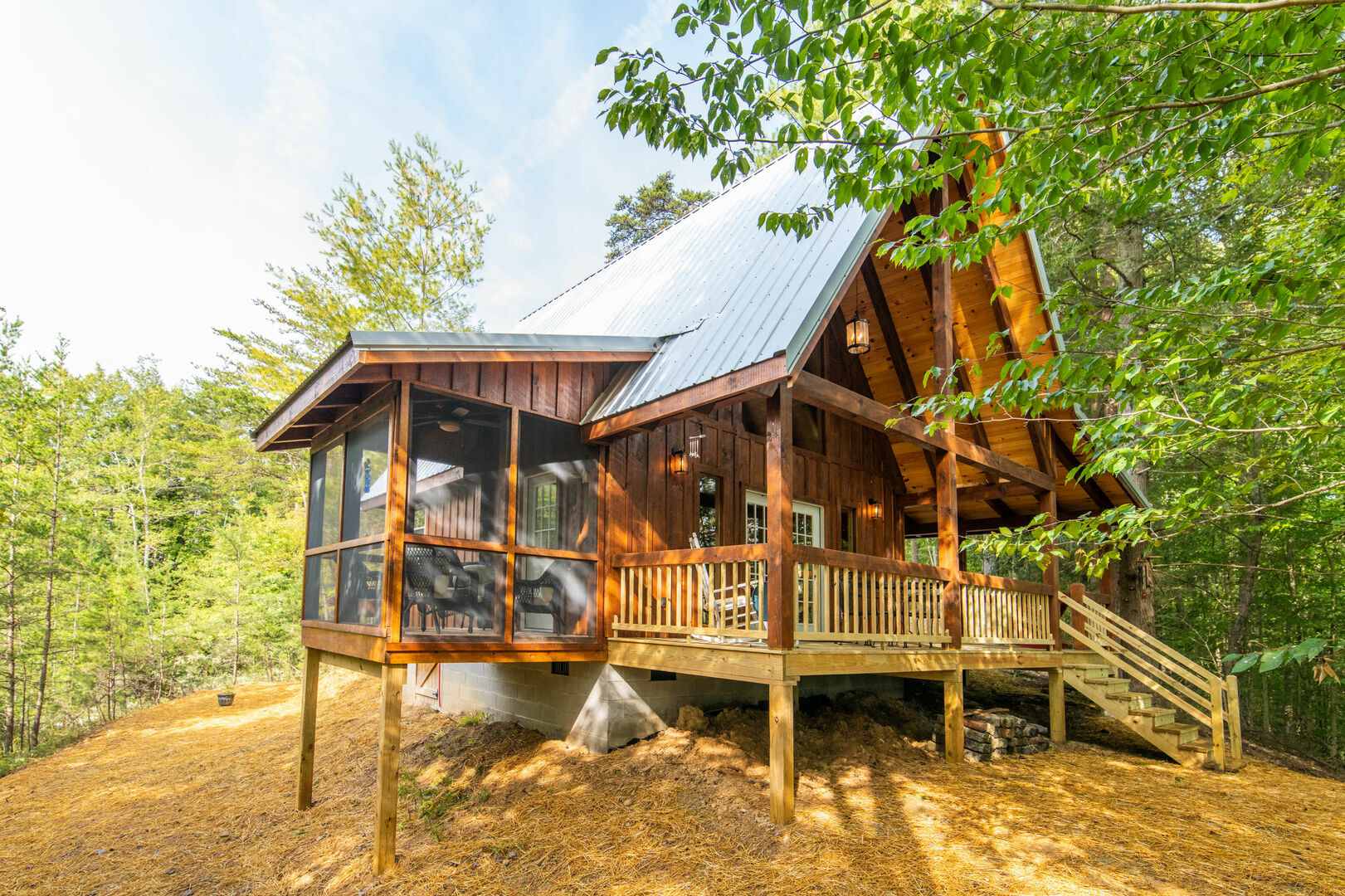 Pet-Friendly Tiny Cabin - Pine Point
