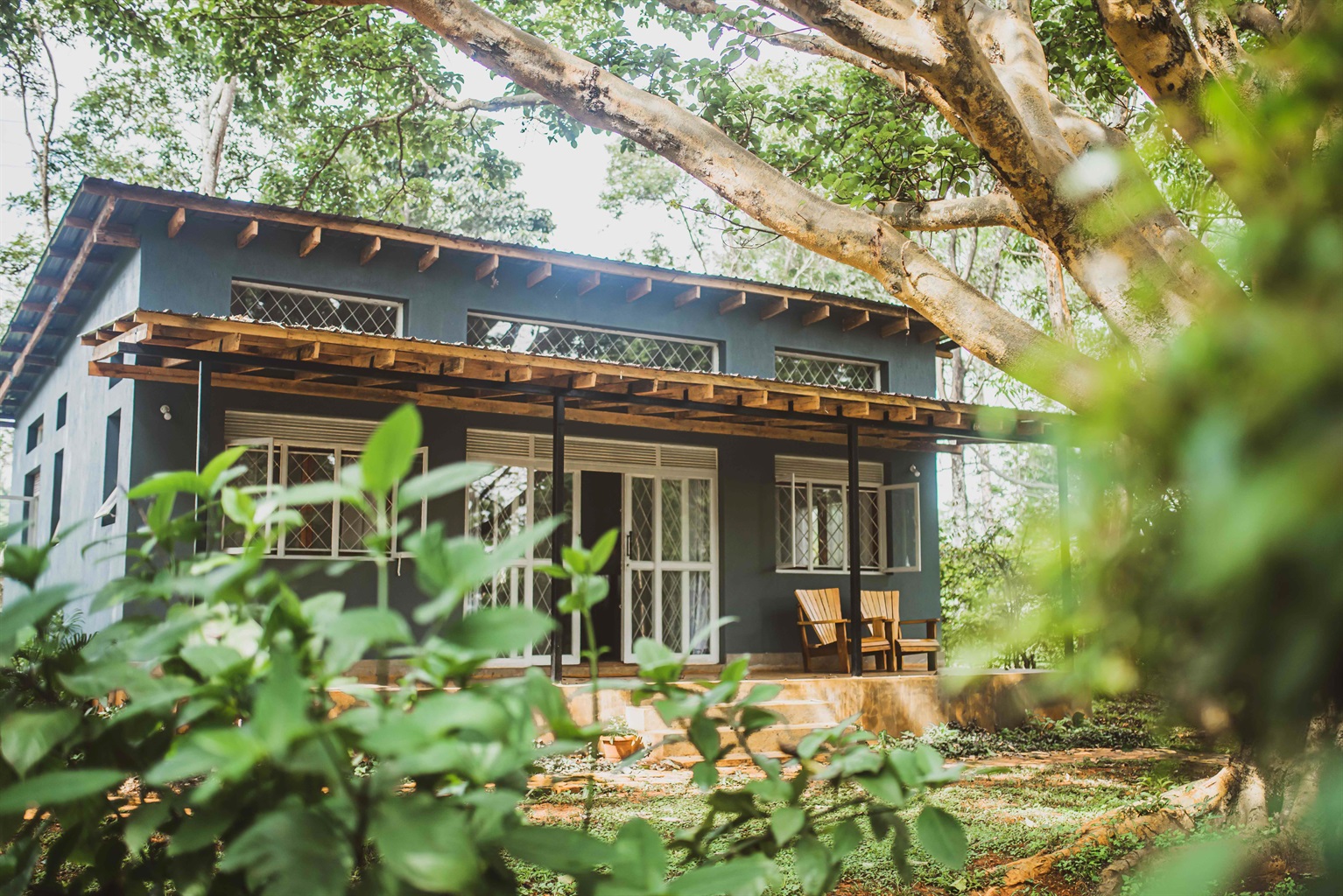 Garden Cabin on the Nile - African Grey