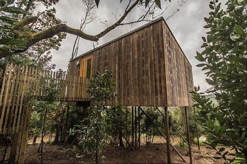 Treehouse with Jacuzzi
