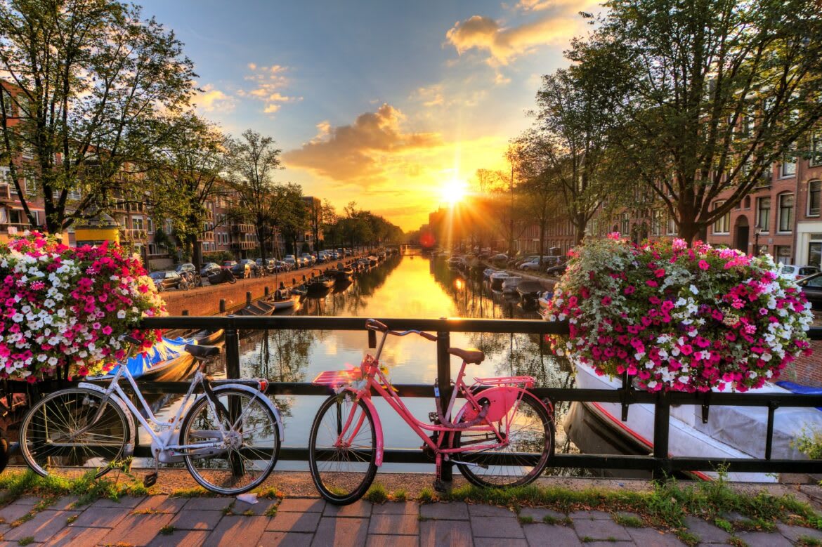 Peaceful Spacious 1 bed apartment — Amsterdam stay