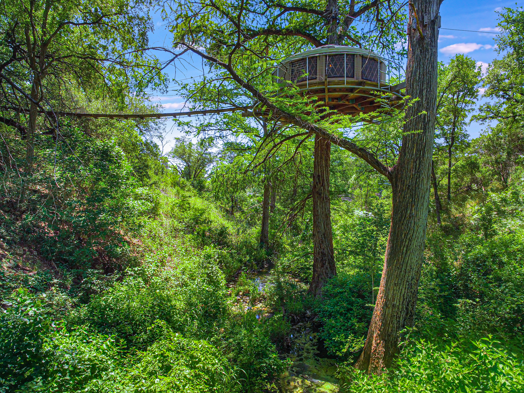 433e729b-8a08-4344-99c7-