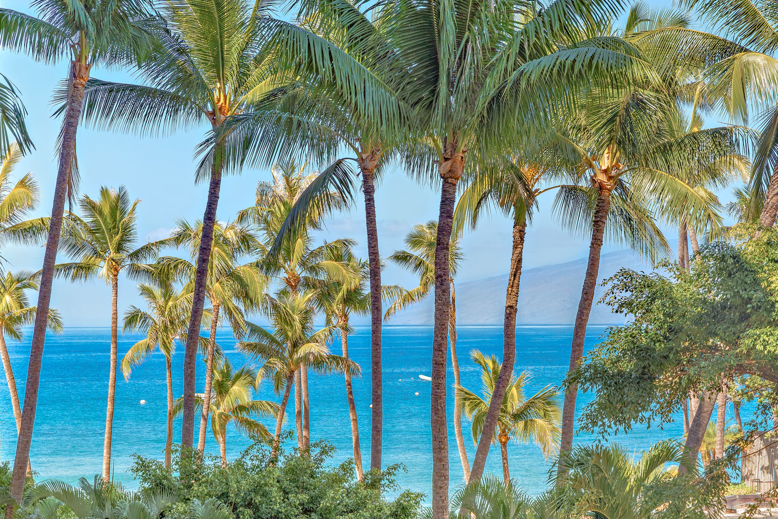 MRR Presents Kaanapali Ali'i 242 in Lahaina, Hawaii