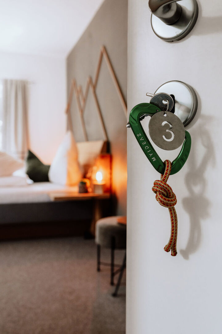 Room in Bad Aussee - Bed And Breakfast