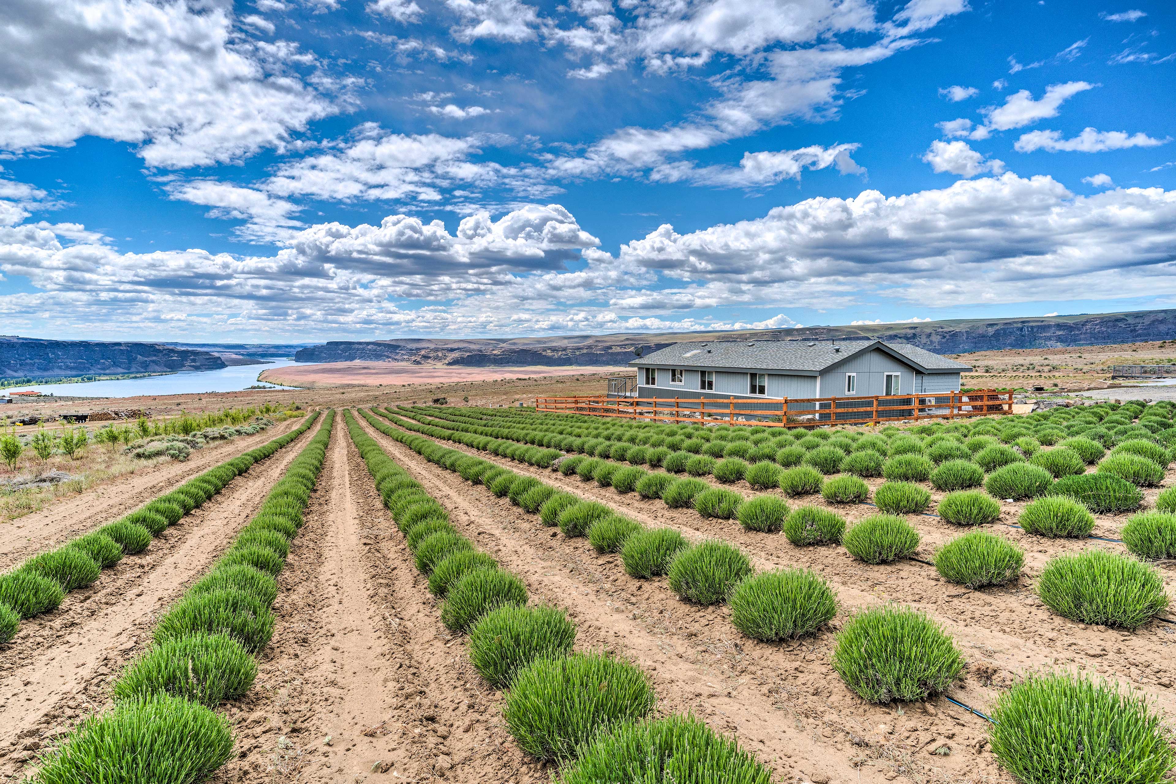 Quincy Home on Lavender Farm w/ River Views!