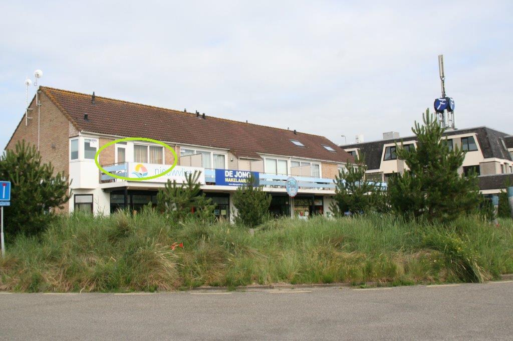 Schorrebloem  1*