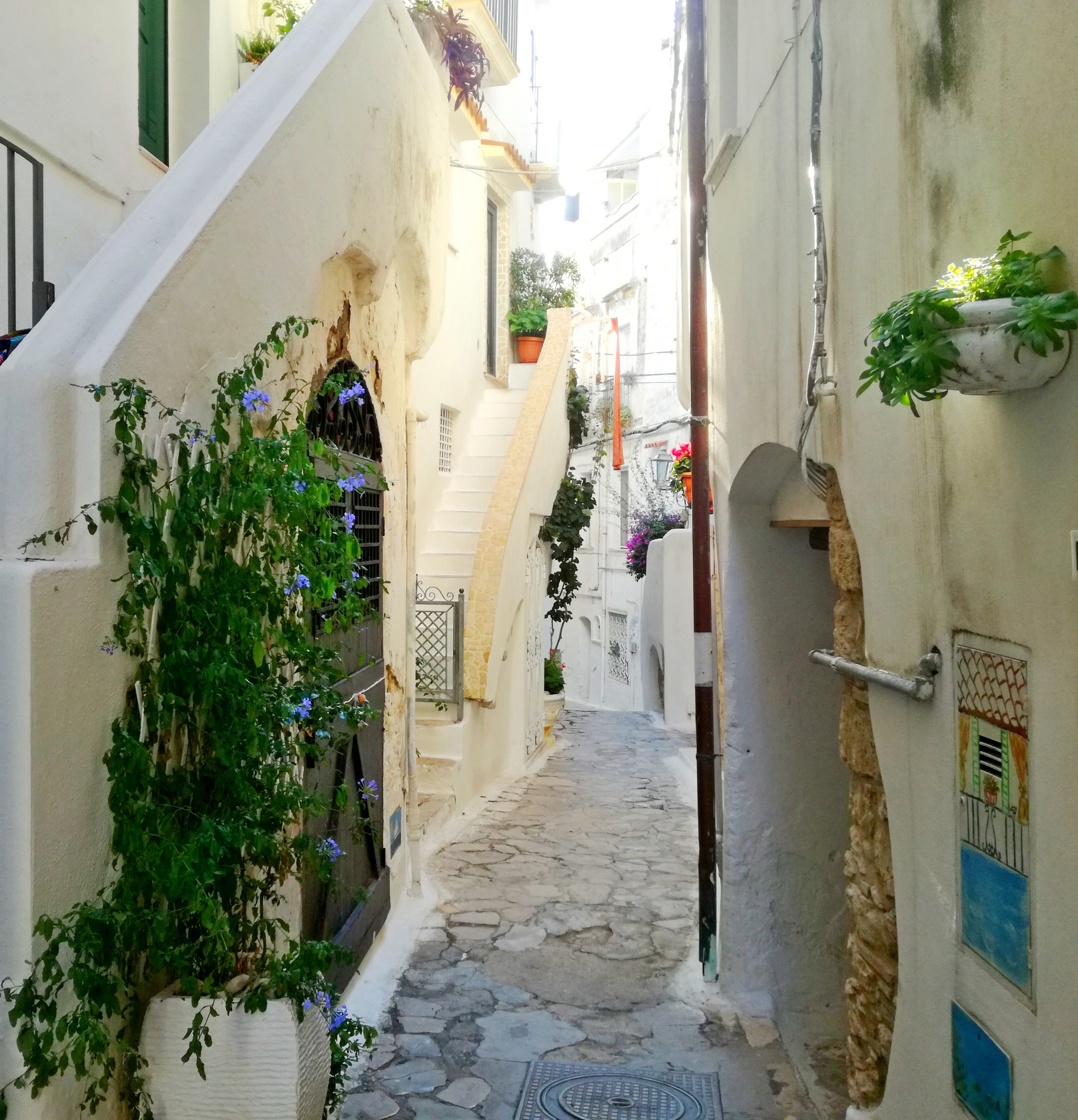 Casa Ares Sperlongaresort